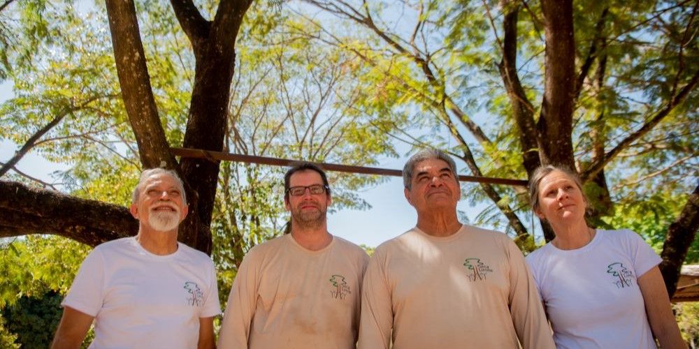 Professor Ben Hur Marimon Junior, Professor David Galbraith,  Professor Antonio Carlos Lola da Costa and Prof. Beatriz Schwantes Marimon stand looking up to the sunny sky, in front of a background of trees.