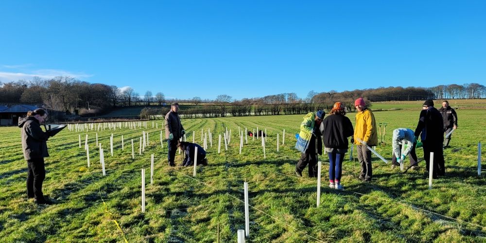 Tree planting at the new Gair Wood.