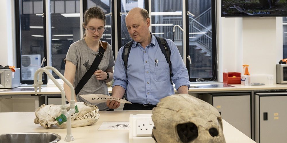 Two visitors at open day in a classroom, looking at skulls on a table