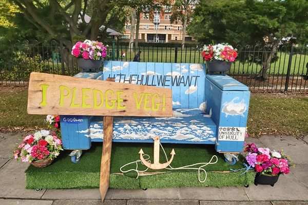 A placard from the GOSH (Hull)  Day of Action, reading 'I pledge veg' leant against a bench in the city centre