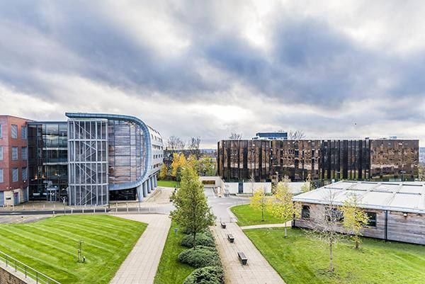 A few buildings a path and green grass in western campus