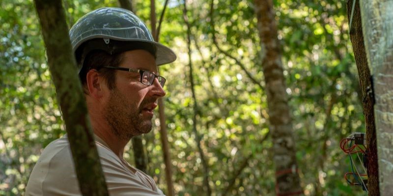 Professor David Galbraith stands with a hard hat on in a thicket of trees. He is looking at a tree trunk with a panel of wiring on its surface.