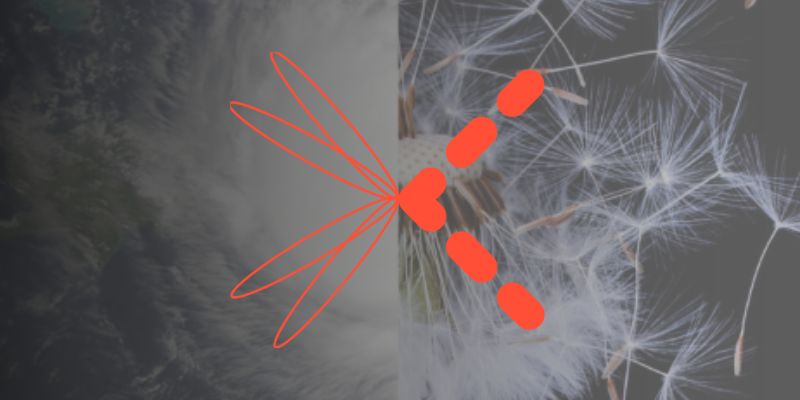 A graphic comprising clouds, dandelion clock seeds, overlaid with a bright orange X made from expressive marks