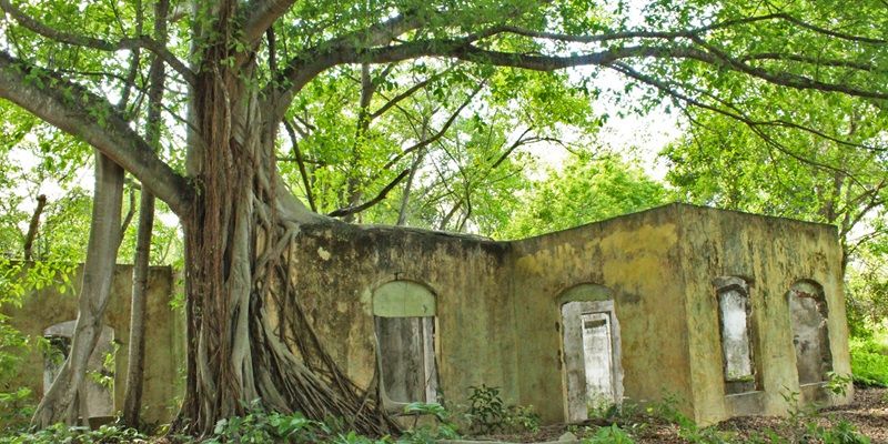 An empty, ruined concrete building in a woodland.