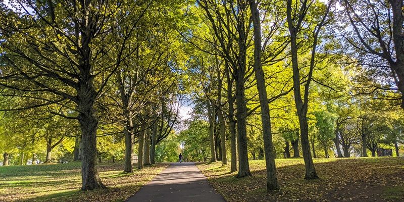 A footpath leading into Woodhouse Moor, lined by trees on either side, on a sunny day