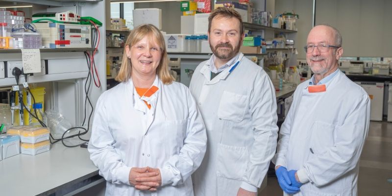 RadNet Leeds director Professor David Sebag-Montefiore; deputy director Professor Ann Henry, and discovery lead Professor Andrew Macdonald in a lab wearing lab coats