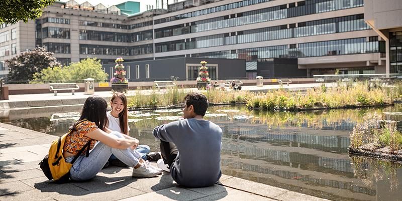 Students sitting by the Roger Stevens pond in summer